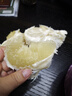 良知農哥重慶特產(chǎn)梁平柚 梁山柚麻柚子平頂柚 50斤大果約20-24個(gè) 曬單實(shí)拍圖