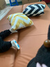 沙發(fā)小戶(hù)型折疊兩用沙發(fā)床雙人布藝出租房沙發(fā)新款 淺咖色【耐磨貓抓皮】 三人位 1.8m 曬單實(shí)拍圖