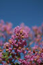 佳能（Canon） RF50F1.8全畫幅微單標(biāo)準(zhǔn)定焦鏡頭 R8 R50 R7 R10 R5 R62 RP系列鏡頭人像小痰盂大光圈半畫幅鏡頭 RF50MMF1.8【套餐一】 43mm 曬單實(shí)拍圖