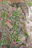 梁義隆 江西九江特產(chǎn)桂花茶餅中華老字號傳統(tǒng)糕點(diǎn)500gX2袋裝 茉莉+桂花/2袋 曬單實拍圖