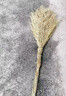 姚河大掃把竹掃把環(huán)衛(wèi)馬路物業(yè)學(xué)校工廠室外地面清掃清潔大號(hào)笤帚掃帚 連體大掃把3斤 曬單實(shí)拍圖