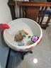 牧溪源景德鎮(zhèn)陶瓷魚缸養(yǎng)魚盆大號(hào)造景客廳家用辦公室烏龜缸循環(huán)流水?dāng)[件 中號(hào)鴻運(yùn)當(dāng)頭 曬單實(shí)拍圖