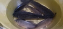 博菲特日本長(cháng)竿超硬19調16米打窩竿釣魚(yú)竿逗釣巨物長(cháng)節超長(cháng)炮竿遠距離 新款二代（16米+前兩節+竿包） 曬單實(shí)拍圖