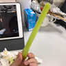 果坊情東北甜桿小甘蔗新鮮甜蘆粟蘆穄甜高粱桿蘆稷甜梭甜高粱桿甘蔗順豐 1斤裝 曬單實(shí)拍圖