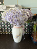 AYNSLEY英國安斯麗雀鳥小屋花園系列蕾絲邊花瓶高顏值陶瓷花瓶歐式擺件 東方蝴蝶系列蕾絲邊花瓶 花瓶 曬單實(shí)拍圖