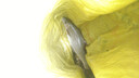 北溟魚(yú)強悍二代磯竿滑漂竿路滑進(jìn)口大導環(huán)遠投磯釣竿超輕超硬磯釣竿 4.5m 7號 強悍二代單桿 曬單實(shí)拍圖
