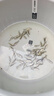 正宗軍魚苗淡水飼養(yǎng)可食用軍魚魚苗草魚苗黃娟魚河鰹魚苗活體魚苗 現(xiàn)捕現(xiàn)發(fā)  軍魚苗一年6-7斤 【搶購(gòu)款】30條送3/2-3厘米 曬單實(shí)拍圖