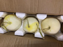頭茬夢(mèng)露蜜露流星甜瓜當(dāng)季水果新鮮甜瓜翡翠甜瓜冰淇淋蜜瓜 5斤 曬單實(shí)拍圖