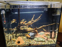 Atman魚(yú)缸過(guò)濾器循環(huán)水泵創(chuàng  )周裝箱星過(guò)濾桶超靜音三合一體系統全套CF 熱銷(xiāo)【四層過(guò)濾】60-100CM魚(yú)缸CFS801 【強化版濾材】套裝 曬單實(shí)拍圖