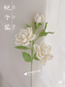 蕉內(nèi)涼皮501Cool Pro女士中長款工裝半身裙戶外防曬機(jī)能速干裙子新款 霧茶白 XL 曬單實(shí)拍圖