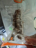 明威海參明威即食海參1斤遼刺參孕婦禮品禮盒送禮 7-9只/1斤 曬單實(shí)拍圖