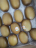 佳沛（zespri）新西蘭  陽光金奇異果巨大果22粒原箱 單果重約144-175g 獼猴桃 曬單實(shí)拍圖