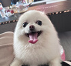 曼妮朵月子服冬季加厚保暖夾棉孕婦睡衣產(chǎn)后坐月子家居服產(chǎn)婦哺乳月子服 YB2904【帶胸墊側(cè)開口輔乳】 L碼建議體重90-130斤 曬單實(shí)拍圖