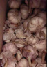 25年干蒜大蒜新鮮蒜 原產(chǎn)地農家整箱糖蒜臘八蒜時(shí)令蔬菜半價(jià) 5斤(凈重4.6斤) >5.0cm大果 曬單實(shí)拍圖