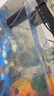 闊庭（KUOTING）魚缸水族箱生態(tài)桌面魚缸新款懶人魚缸生態(tài)造景過(guò)濾制氧一體機(jī)黑色 曬單實(shí)拍圖