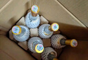汾酒53度黃蓋玻汾  清香型白酒 高度口糧酒  泡酒 53度 475mL 6瓶 整箱裝非原箱 曬單實(shí)拍圖