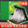 歐克樂（Ou Ke le）粘鼠板超強(qiáng)力老鼠貼老鼠籠非老鼠藥加大加厚黏鼠板滅鼠捕鼠神器夾 10張裝 大號(hào)綠色加厚34*22cm 曬單實(shí)拍圖