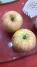四海上品山東煙臺精品紅富士蘋(píng)果新鮮水果甜脆多汁不打蠟生鮮現貨孕婦水果 特大果 凈重8.5斤 約（10-14枚） 曬單實(shí)拍圖