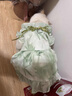 嬉皮狗（hipidog）貓咪衣服春夏款國風(fēng)水墨連衣裙布偶藍(lán)貓裙子比熊狗狗服裝寵物衣服 蒂安綠 S （建議體重3-5斤） 曬單實(shí)拍圖
