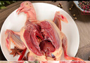 鄉(xiāng)公館現(xiàn)殺鮮活乳鴿五年老鴿農(nóng)家散養(yǎng)土鴿子生鮮燒烤食材煲湯滋補鴿子肉 2只老鴿子【送燉料包·5年散養(yǎng)】 曬單實拍圖