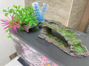博宇魚(yú)缸造景石 水草鵝卵石水族箱布置 假山沉木仿真 盆景裝飾 小紫草（s408） 曬單實(shí)拍圖