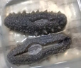 遼參大連干海參禮盒送禮 有機(jī)遼參深海底播干貨 海鮮滋補(bǔ)老人七夕中秋 250g 25-35只(今日補(bǔ)貼200元) 曬單實(shí)拍圖