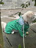 OSKV狗狗雨衣四腳防水全包寵物雨天防臟神器小中大型犬雨天衣服雨披 青蛙款2XL(建議15-20斤) 38.8 曬單實(shí)拍圖