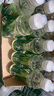 農(nóng)夫山泉 尖叫運(yùn)動飲料 補(bǔ)充電解質(zhì)550ml 纖維型 曬單實(shí)拍圖