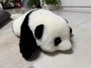 MOONCHILD花花熊貓毛絨玩具公仔娃娃玩偶抱著(zhù)睡覺(jué)抱送閨蜜送給女生生日禮物 花花熊貓五月齡趴姿 70cm 曬單實(shí)拍圖