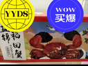 【活蟹】網(wǎng)兜蟹遼寧盤(pán)錦河蟹稻田河蟹禮盒螃蟹鮮活大閘蟹無(wú)繩凈重 全母蟹丨2.6-2.8兩【3斤】11-12只 曬單實(shí)拍圖