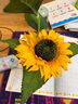 鋒上假花太陽(yáng)花向日葵小盆景仿真花裝飾擺件辦公室新家仿真盆栽 向日葵小盆景【 圓柱陶瓷盆）】 曬單實(shí)拍圖