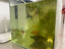 JCZS德國(guó)魚馬桶魚缸糞便分離器過(guò)濾器凈水循環(huán)三合一氧氣泵制氧一體機(jī) 25W【強(qiáng)勁吸糞/魚便分離】 AQ-1500F 曬單實(shí)拍圖