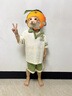 巴布豆男童套裝2025夏季新款兒童POLO短袖兩件套活力撞色學(xué)院風(fēng)透氣夏裝 米拼綠 巴布仙人掌X_3 110 曬單實(shí)拍圖
