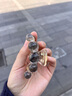 BARY REEF高級感抓夾女2024新款發(fā)量少中號發(fā)夾秋冬發(fā)飾鯊魚夾發(fā)抓夾子頭飾 暈染黑灰小珠 曬單實拍圖