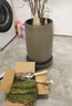 臨雅青苔蘚鮮活微景觀綠植盆景桌面假山造景材料永生白發(fā)短絨源頭直發(fā) 曬單實拍圖