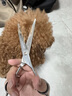柒哦狗狗剪毛專用剪刀寵物美容剪刀修毛剪刀套裝彎剪泰迪剪狗毛神器 7寸彎剪【適用弧度修剪】 曬單實(shí)拍圖