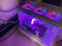 華碩i5 14600KF/U7 265K/285K/AMD銳龍7800X3D/9800X3D無卡準系統(tǒng)過度機組裝電腦DIY臺式整機游戲主機 R7 9800X3D+48G 1TB無卡主機 配八 曬單實拍圖
