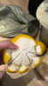 鑫果滋柚子皮去味 柚子去味神器清香臥室除異味室內家用新房裝修新車(chē)用 【整個(gè)柚子發(fā)出】【青皮果】 10斤【發(fā)順豐】 曬單實(shí)拍圖