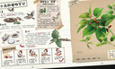 中國(guó)植物，很高興認(rèn)識(shí)你?。ê坠?冊(cè)）米萊童書(shū) 兒童科普書(shū) 植物生物知識(shí) 以植物為線索，覆蓋歷史、地理、文化全科知識(shí)，寫(xiě)給孩子的通識(shí)百科全書(shū) 中國(guó)植物，很高興認(rèn)識(shí)你！ 曬單實(shí)拍圖