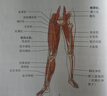 普拉提解剖學(xué)（第2版） 曬單實(shí)拍圖
