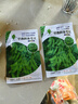 若荷早熟高產(chǎn)大粒毛豆種子軟糯清香非轉(zhuǎn)基因毛豆種子春播夏播抗病耐寒 精選大毛豆種子【2包】約100粒 曬單實拍圖