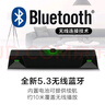 紐曼（Newmine）音響電腦藍牙音箱臺式機電腦音箱低音炮家用桌面2.0游戲音箱網(wǎng)課音響 V1PRO【技術(shù)革新】專(zhuān)業(yè)電腦音響 曬單實(shí)拍圖