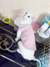 貓咪衣服防掉毛夏季貓咪狗狗衣服寵物衣服幼貓中小型犬春秋衣服 粉色熊熊頭(M碼建議4-6斤) 曬單實(shí)拍圖