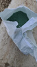 萌蘊（MengYun）進(jìn)口草坪種子草籽矮四季青草種護(hù)坡綠化耐寒耐旱免修剪草皮草種子 【狗牙根】耐熱耐踏一斤 曬單實拍圖
