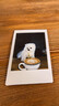 富士instax mini12 mini11/9升級款 一次成像旅游生日禮物 拍立得相機 mini12淺櫻粉【爆款推薦】 官方標(biāo)配 曬單實拍圖