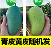 憶京源四川攀枝花凱特芒 彩虹芒特大青皮芒果 當季新鮮水果現摘甜心芒 5斤精選特大果 曬單實(shí)拍圖