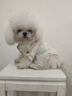 嬉皮狗（hipidog）春夏狗狗衣服口袋襯衫透氣兩腳衣中小型幼犬比熊泰迪夏天狗狗衣服 彌雅白 S（建議體重3-5斤） 曬單實拍圖