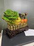 TICIFY百財(cái)大吉白菜擺件客廳入戶玄關(guān)電視柜裝飾品搬新家喬遷禮物 百財(cái)大吉白菜彩繪色 曬單實(shí)拍圖