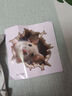 龜背葉貼紙裝飾家居墻面臥室客廳貼畫(huà)葉子墻貼畫(huà) 烏背葉貼畫(huà)  1套 曬單實(shí)拍圖