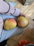 鑫果滋【順豐】海南澳芒 三亞熱帶水果當季新鮮黃青皮凱特澳芒芒果 特大果（單果1斤以上）【青皮澳芒】 5斤 曬單實拍圖